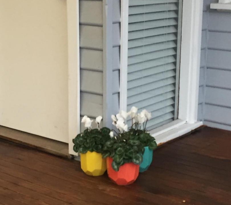 Photo of Buildings in Yarraville