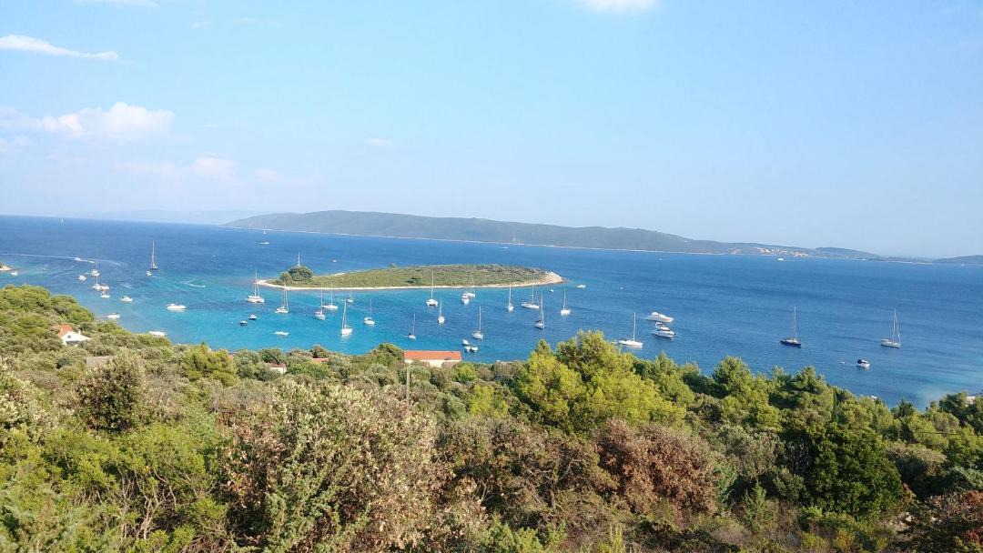 Photo of Outdoor in Veliki Drvenik