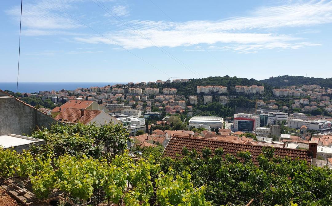 Photo of Others in Dubrovnik