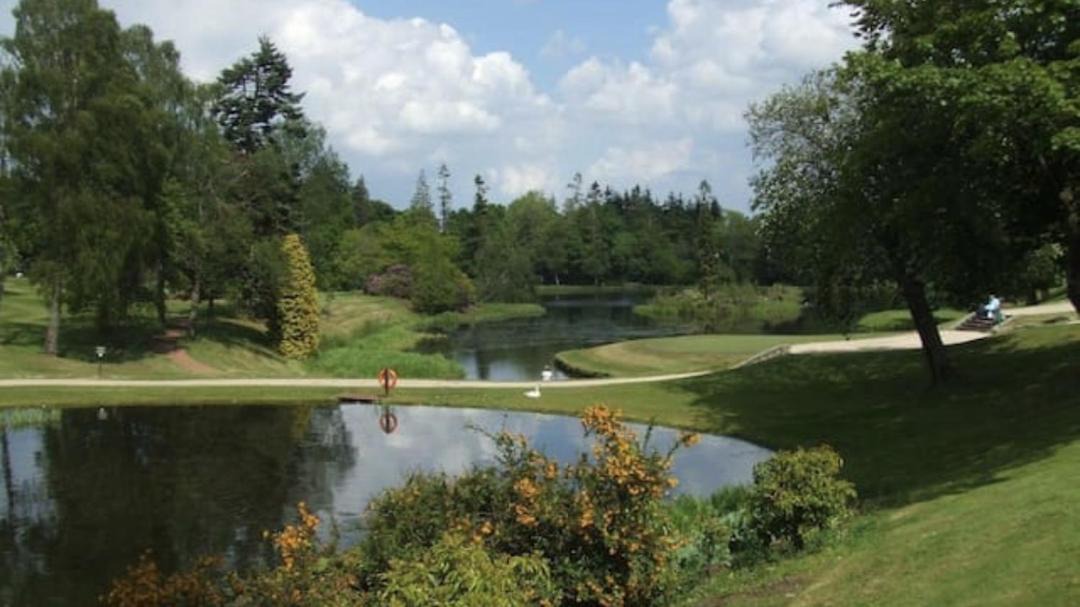 Photo of Others in Auchterarder