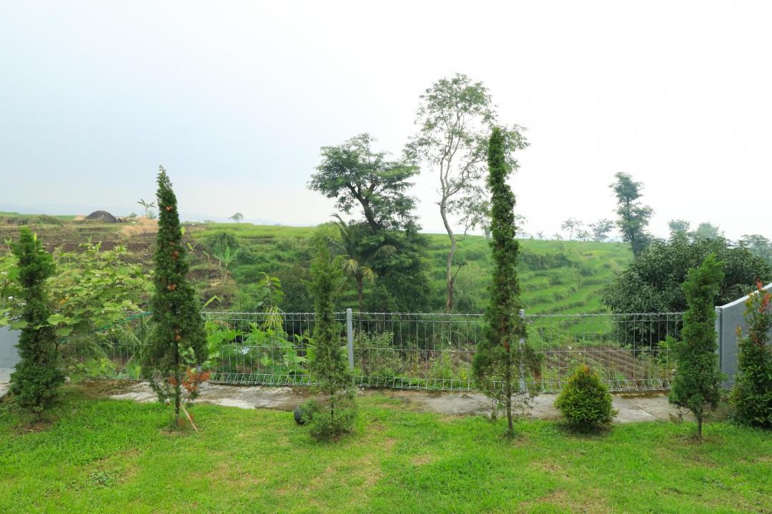 Photo of Others in Pacet