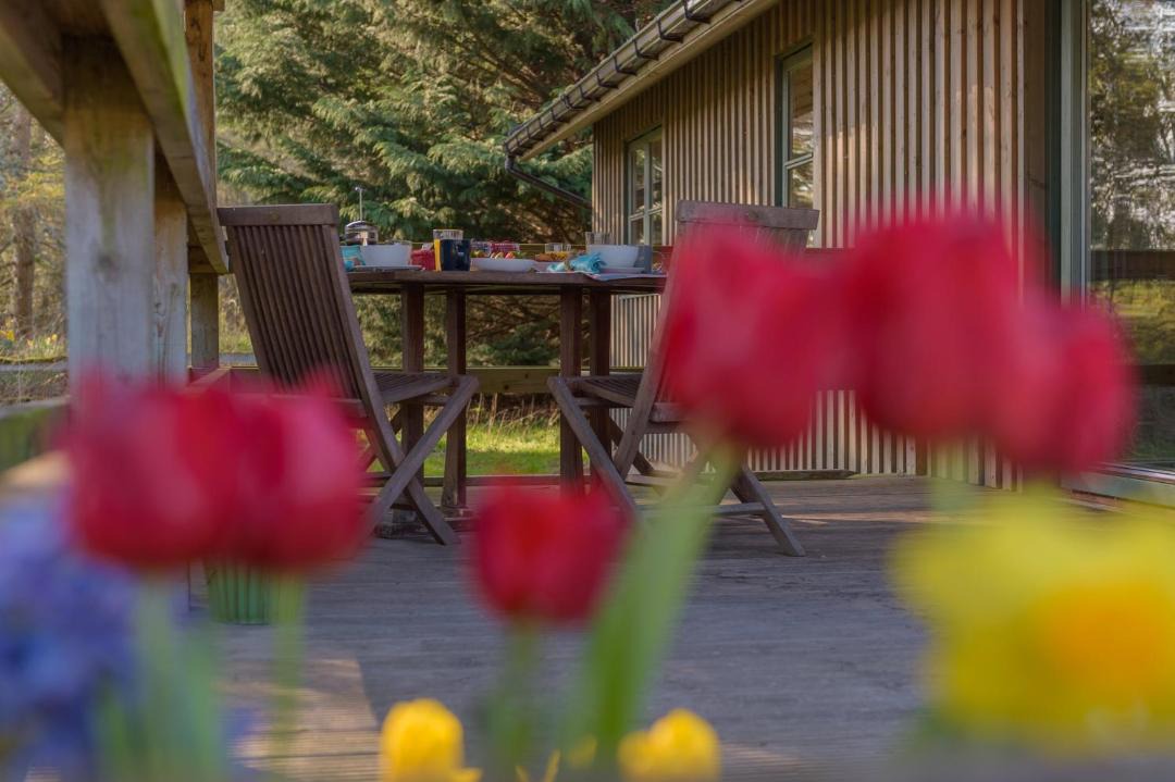 Photo of Others in Banchory