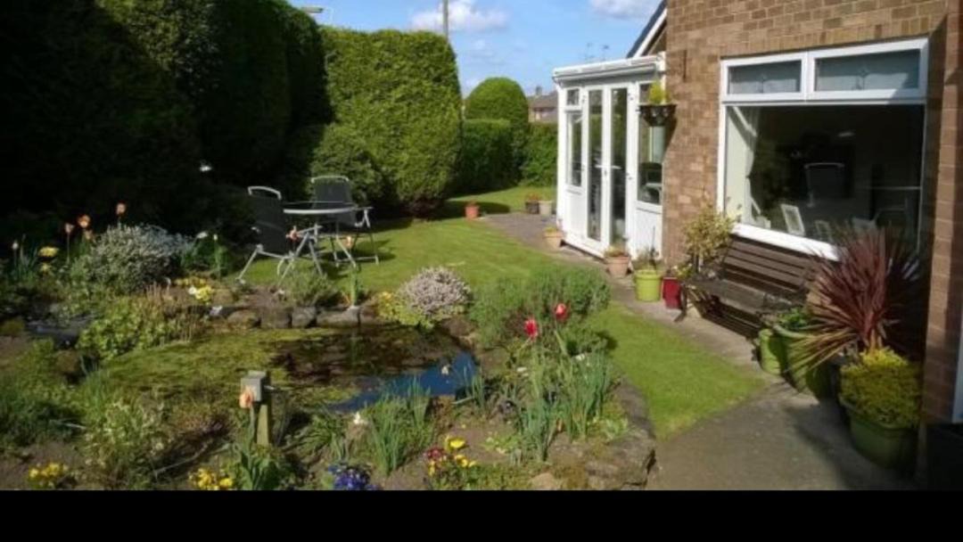 Photo of Others in Mansfield