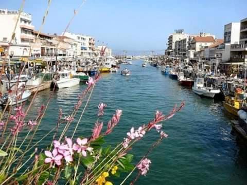 Photo of Others in Palavas-les-Flots