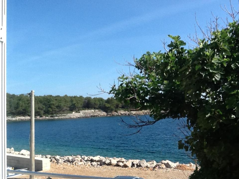 Photo of Others in Cove Murtar