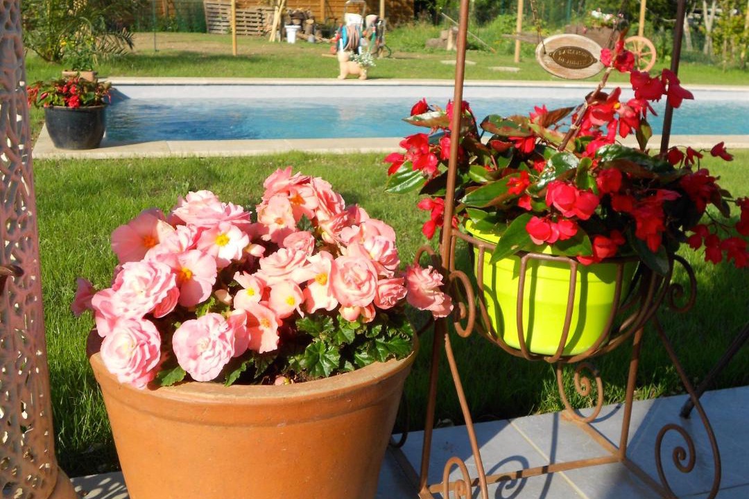 Photo of Others in Villepinte