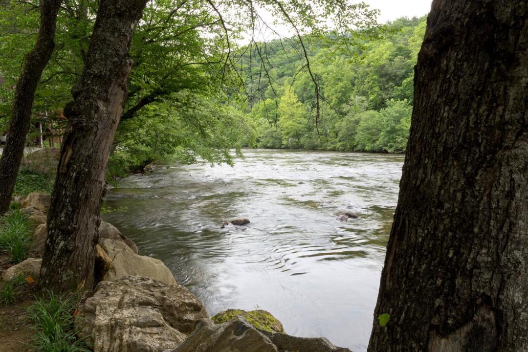 Photo of Others in Sylva