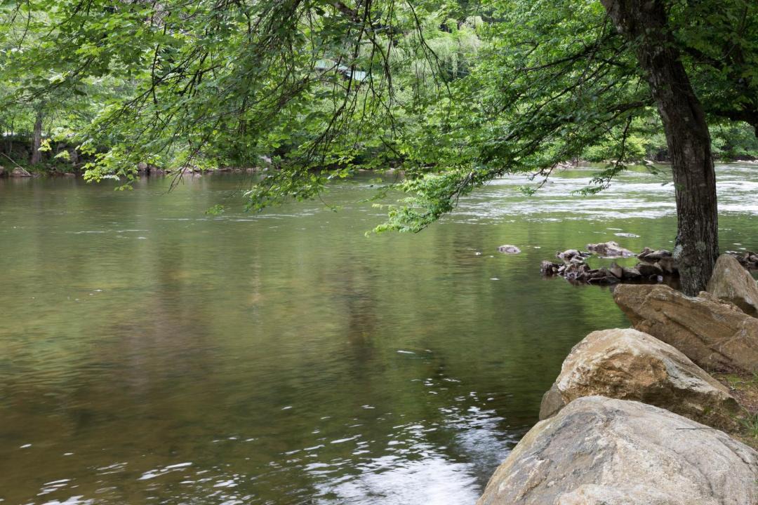 Photo of Others in Sylva