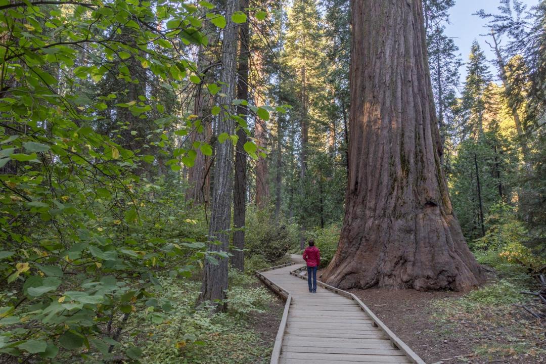 Photo of Others in Arnold