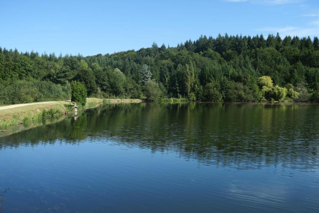 Photo of Others in Continvoir
