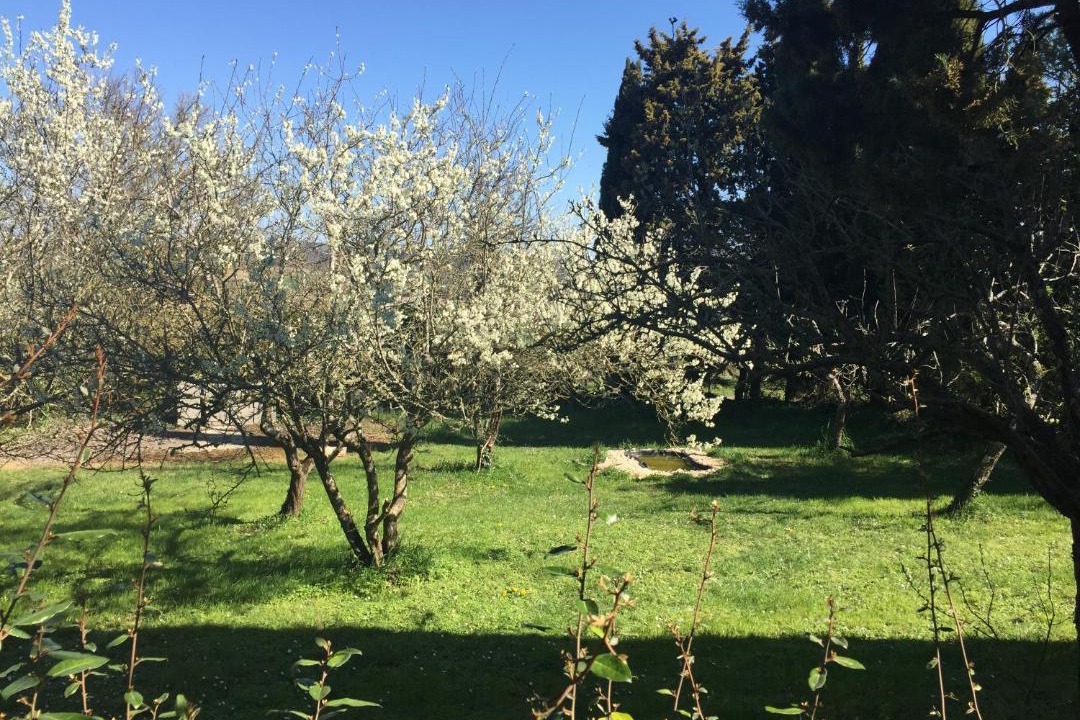 Photo of Others in Saint-Julien-de-Briola