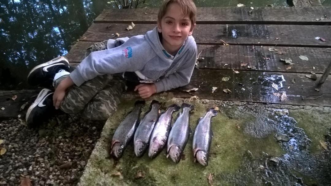 Photo of Human In Picture in Eichhoffen