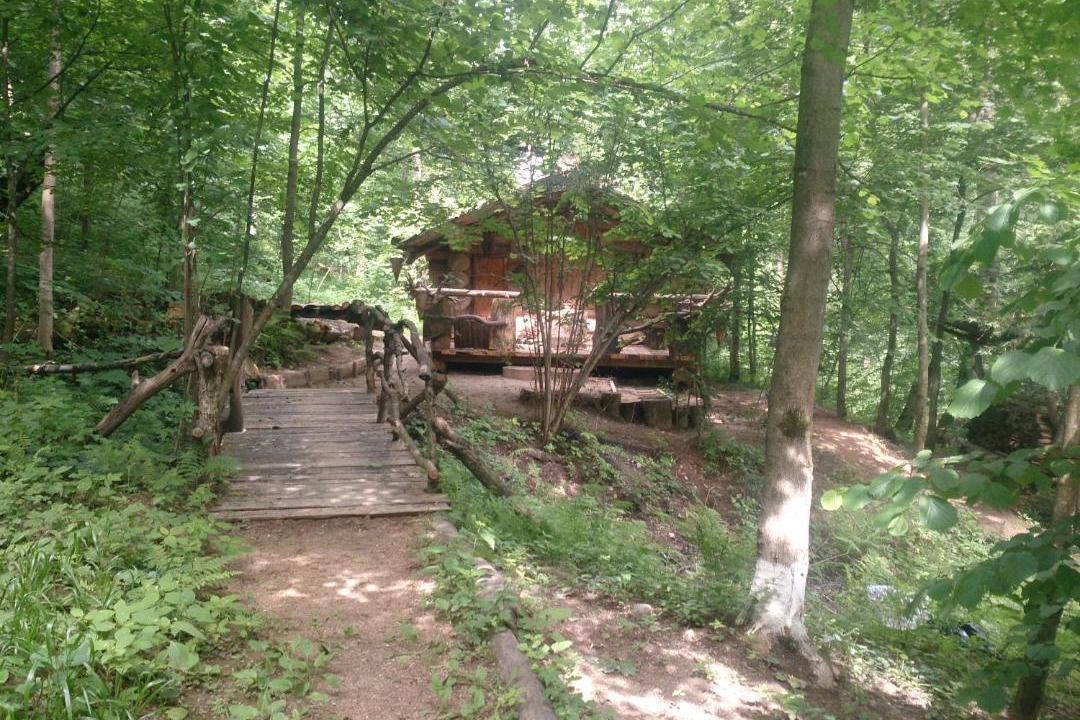 Photo of Others in Zvenigorod