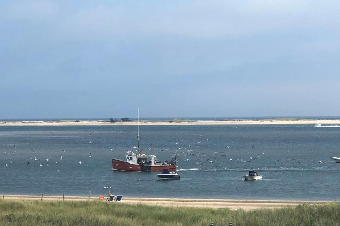 Photo of Others in Chatham