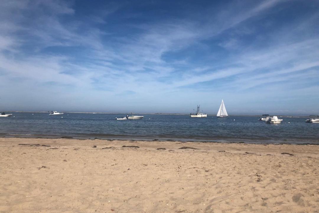 Photo of Others in Chatham