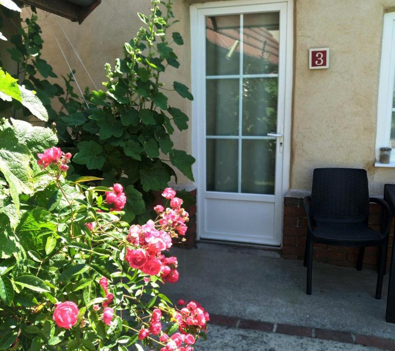 Photo of Others in Arrest