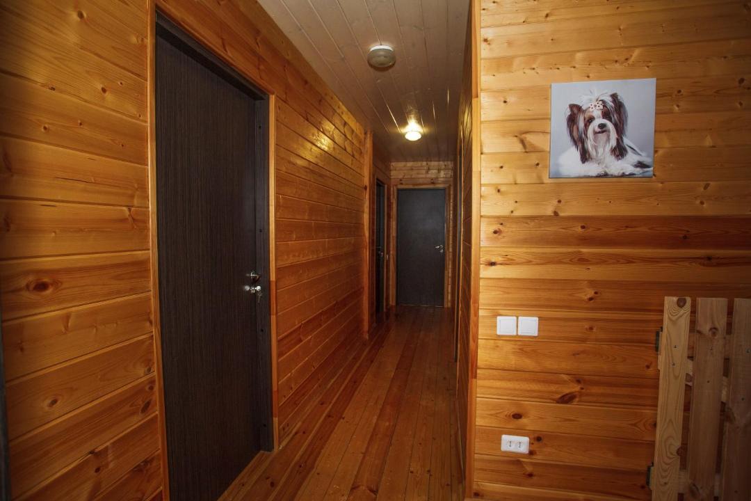 Photo of Others in Suzdal