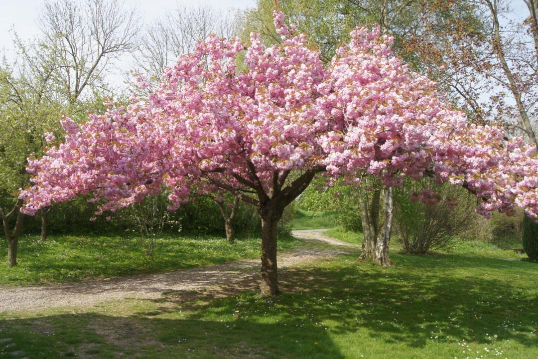 Photo of Others in Limeux