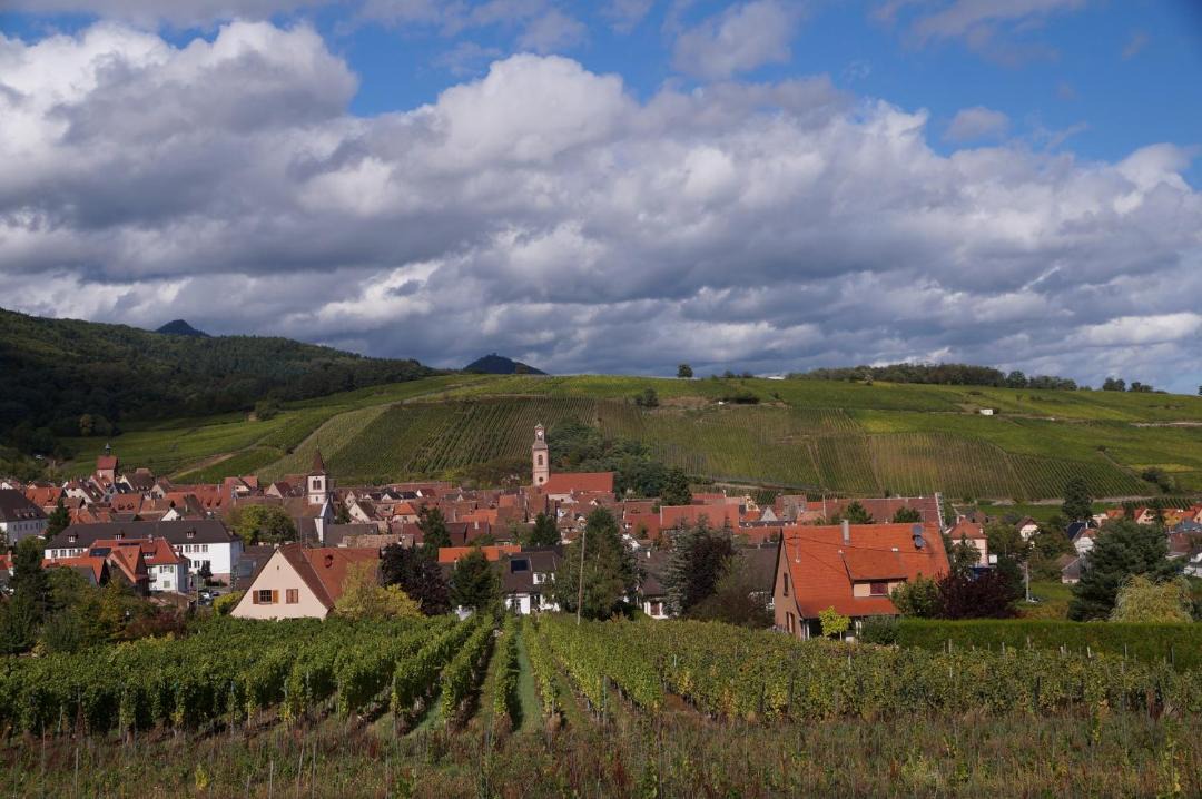 Photo of Others in Riquewihr