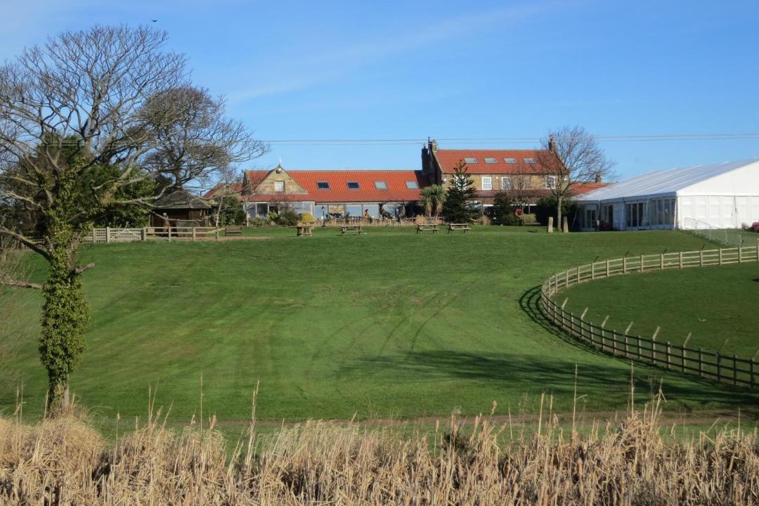 Photo of Others in Briggswath