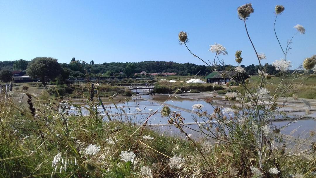 Photo of Outdoor in Les Sables d'Olonne