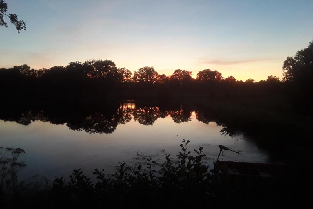 Photo of Others in Bussiere-Poitevine