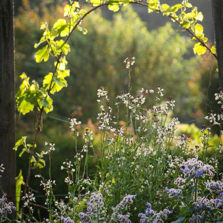 Photo of Others in Paeroa