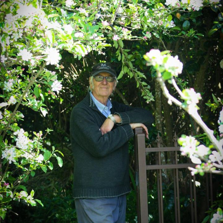 Photo of Others in Paeroa