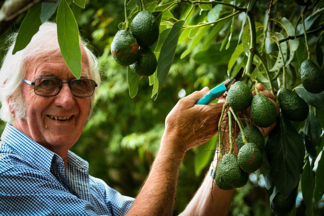Photo of Human In Picture in Paeroa