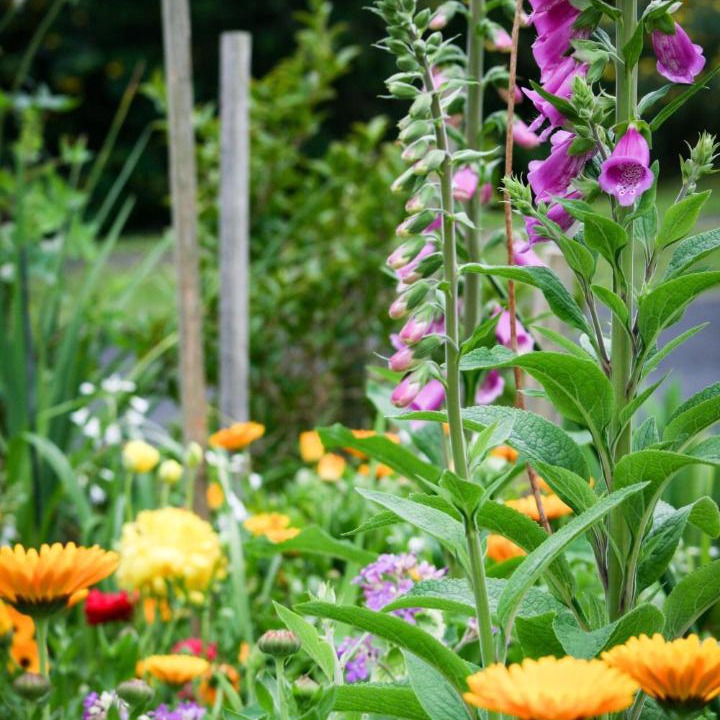 Photo of Others in Paeroa