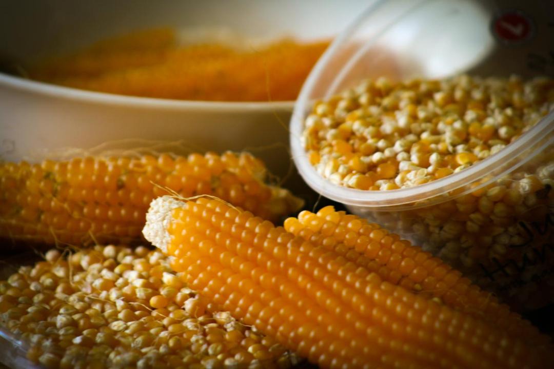 Photo of Bedroom in Paeroa