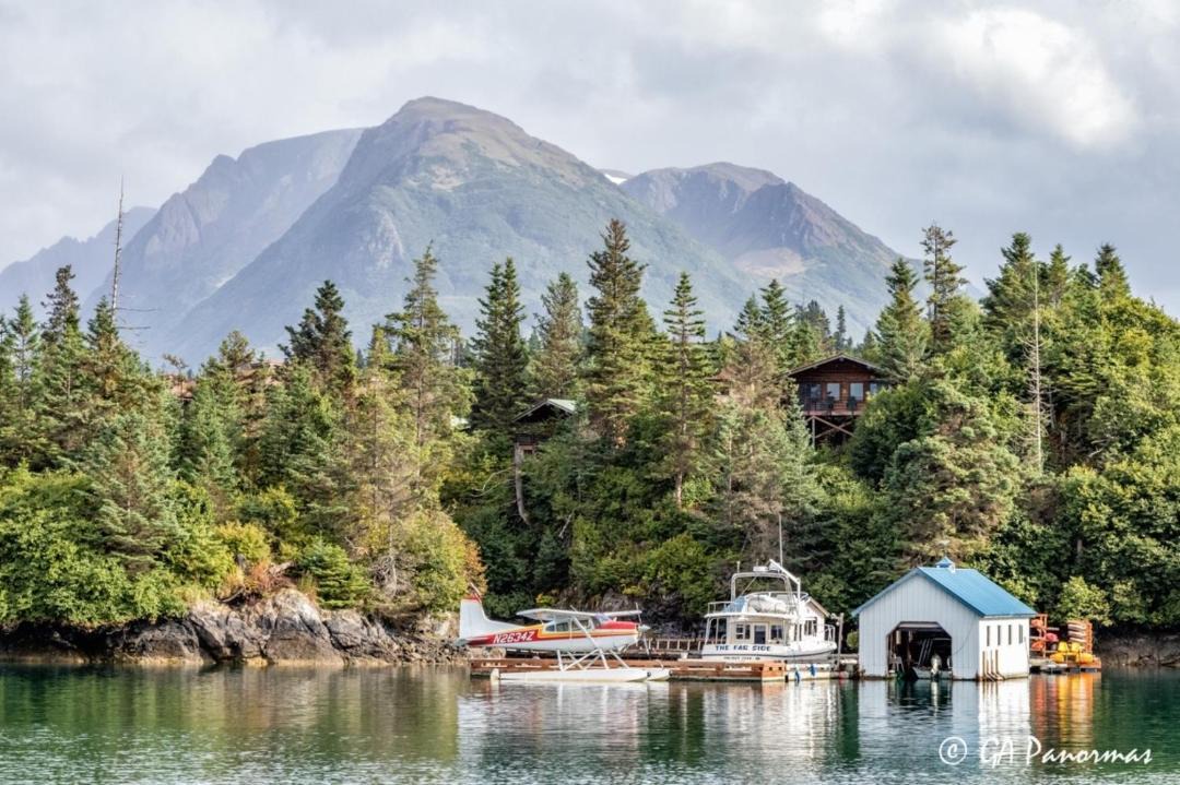 Photo of Others in Halibut Cove