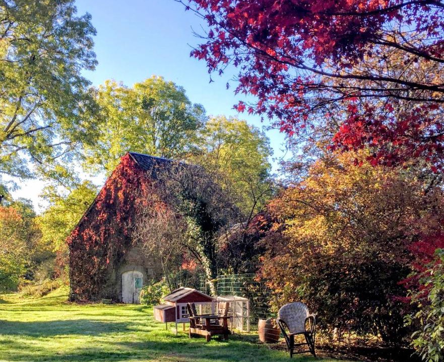 Photo of Others in Lamaziere-Basse