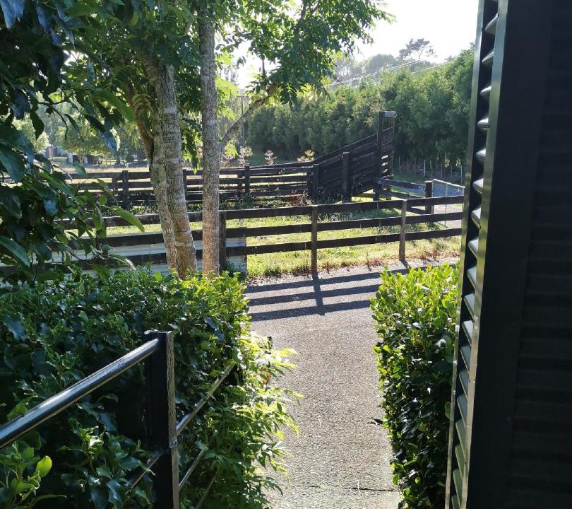 Photo of Others in Waikino