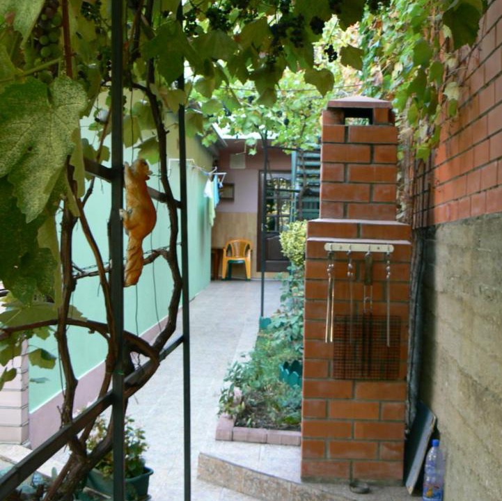 Photo of Others in Gelendzhik