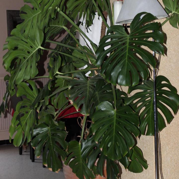 Photo of Others in Saint-Nazaire