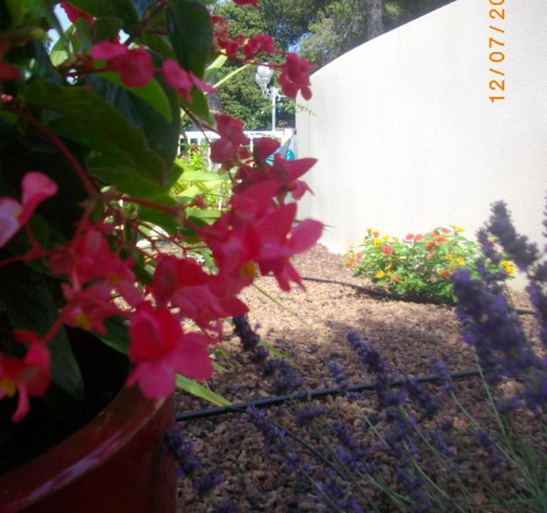 Photo of Others in Saint-Nazaire