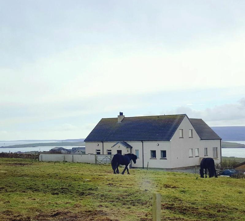 Photo of Others in Stromness