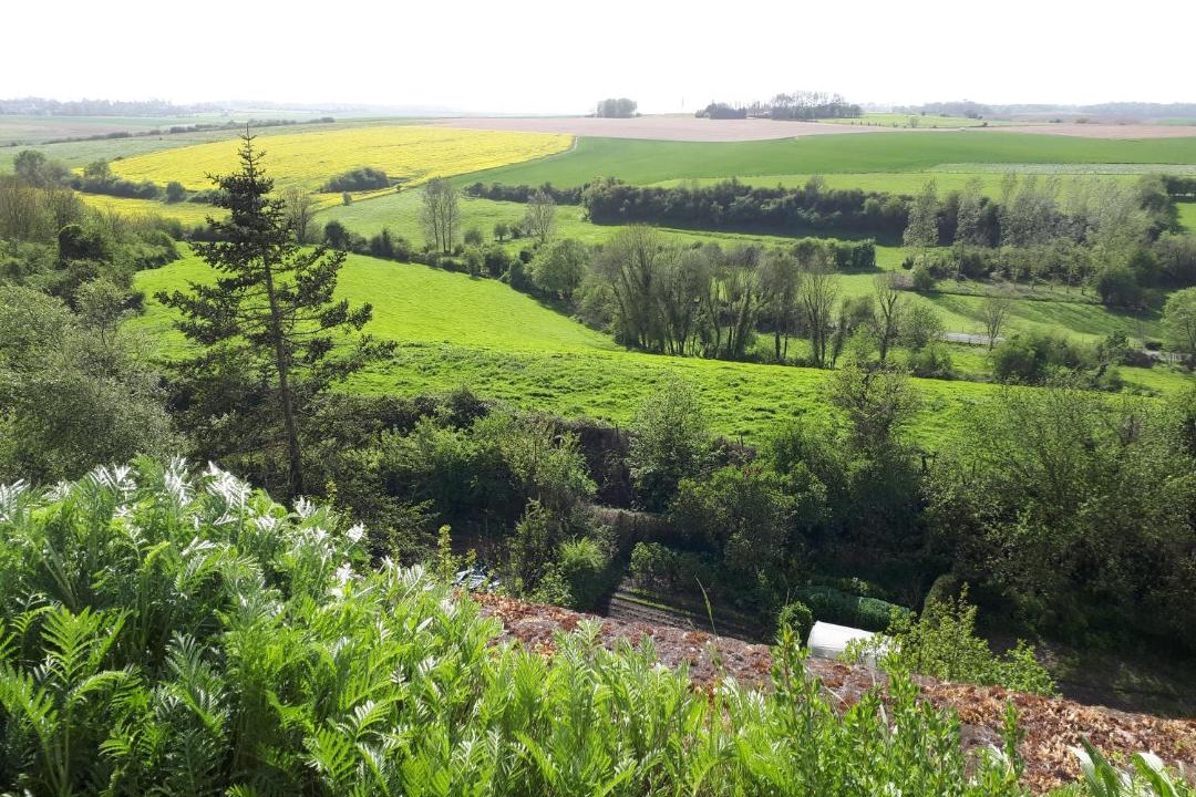 Photo of Outdoor in Les Carroz-d'Araches