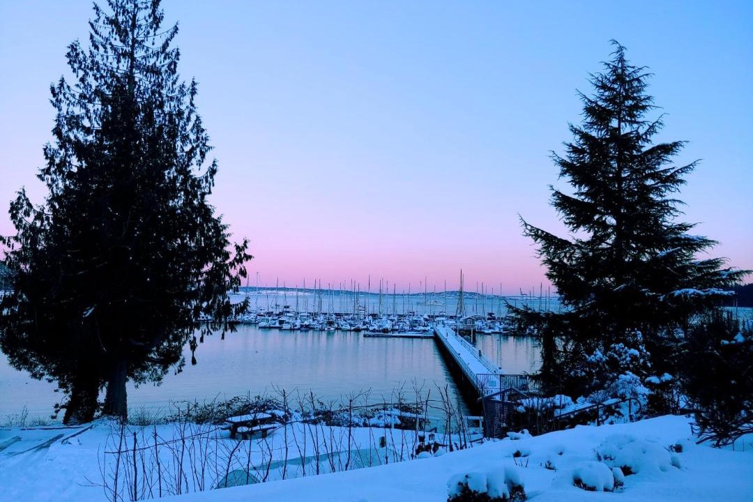 Photo of Others in Port Hadlock