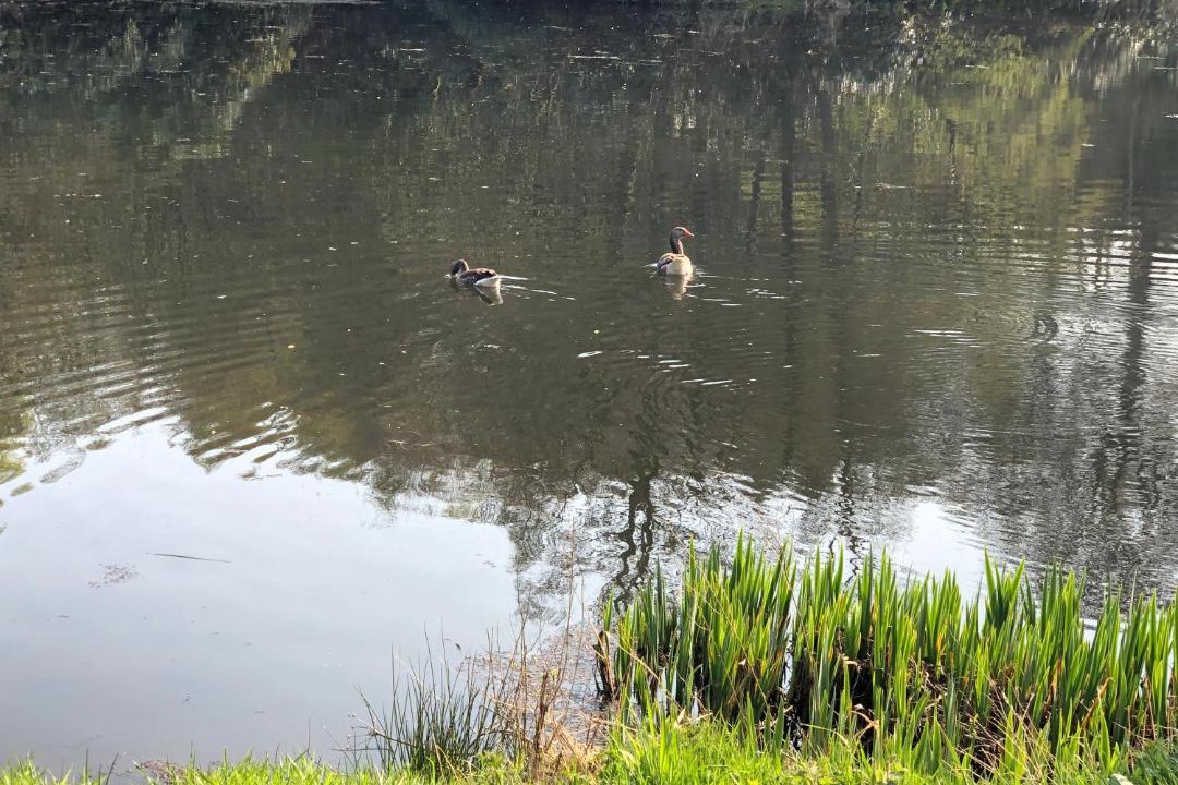 Photo of Others in Port Glasgow