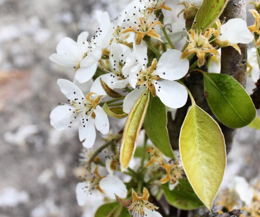 Photo of Others in La Tremblade