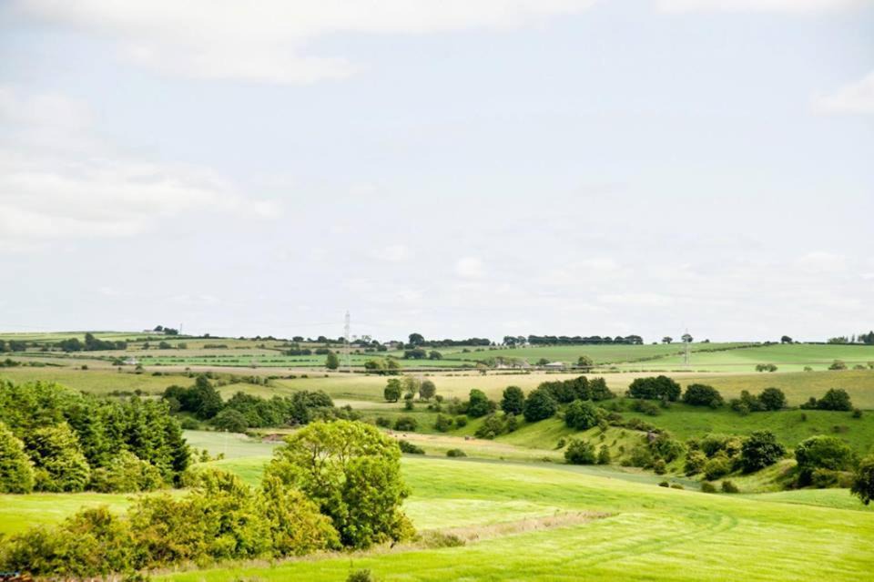 Photo of Others in Strathaven