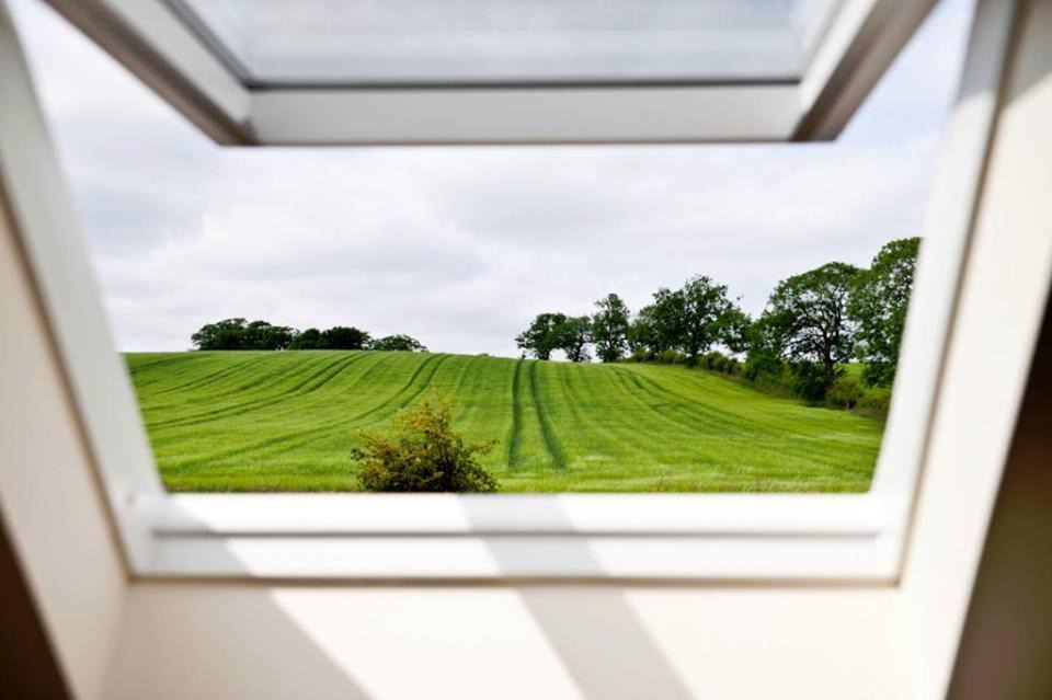 Photo of Others in Strathaven