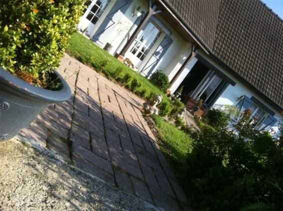 Photo of Others in Drucat