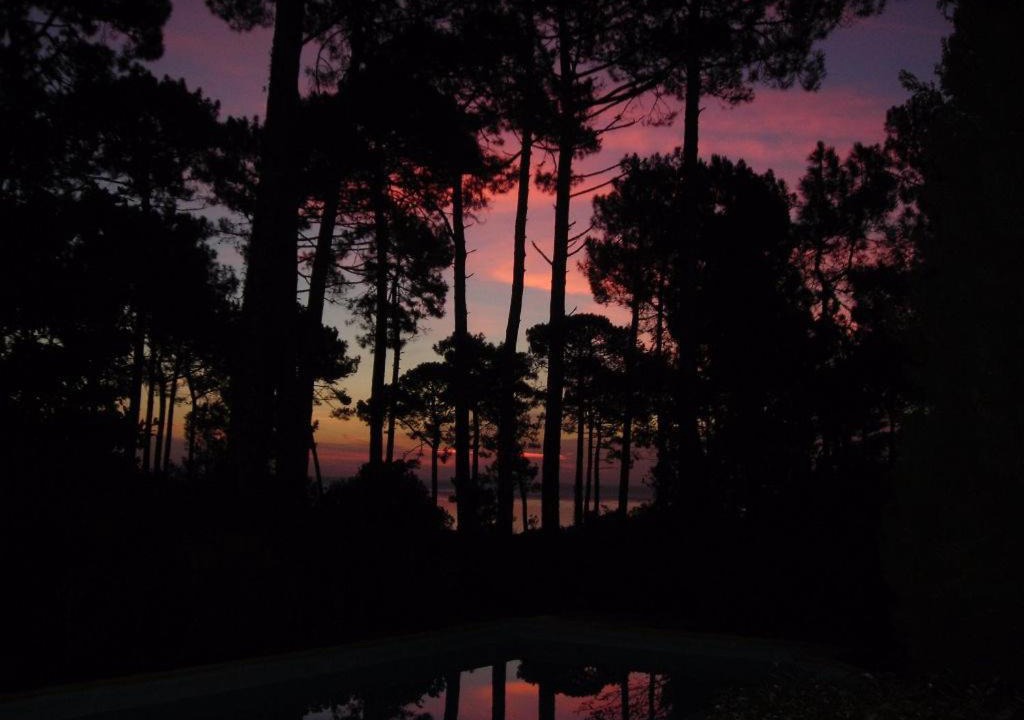 Photo of Others in Biscarrosse