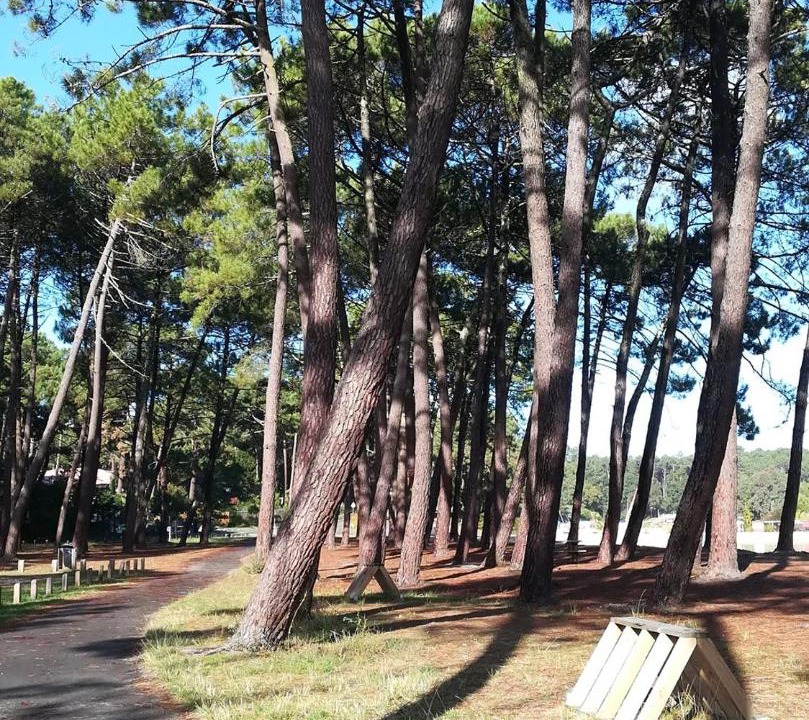 Photo of Others in Biscarrosse