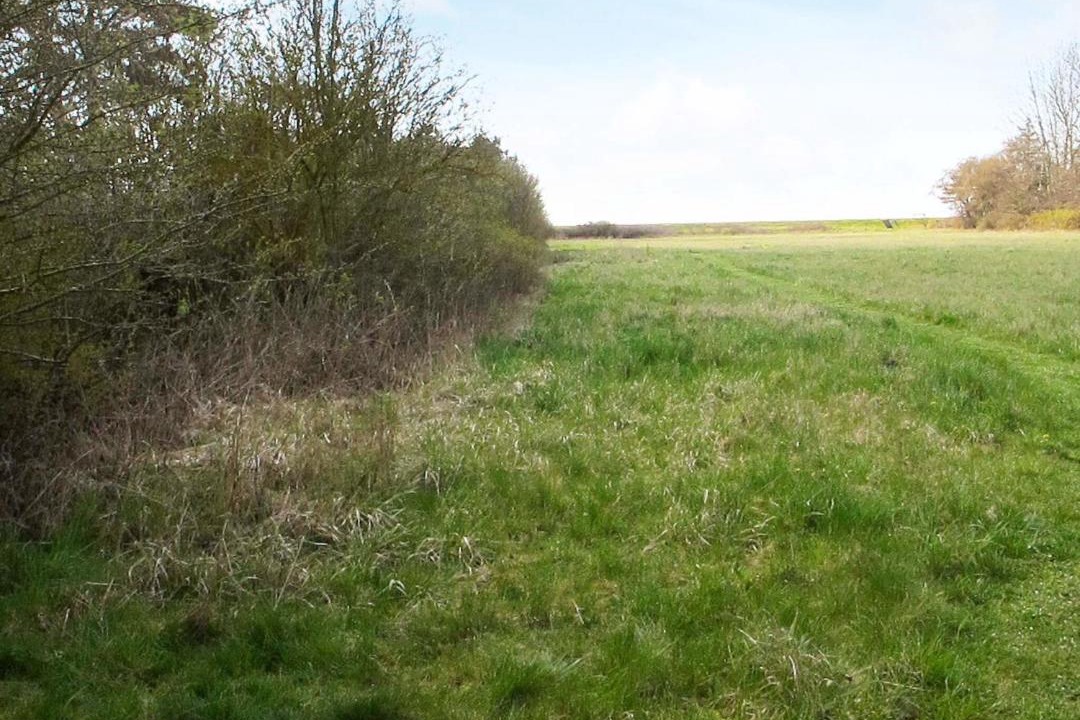 Photo of Outdoor in Knubbeløkke