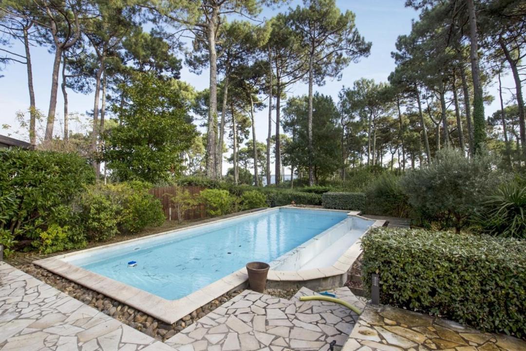 Photo of Outdoor in Biscarrosse