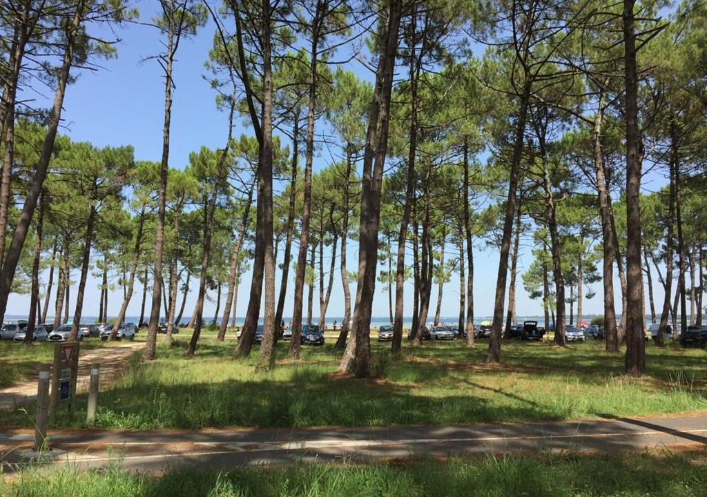 Photo of Others in Biscarrosse